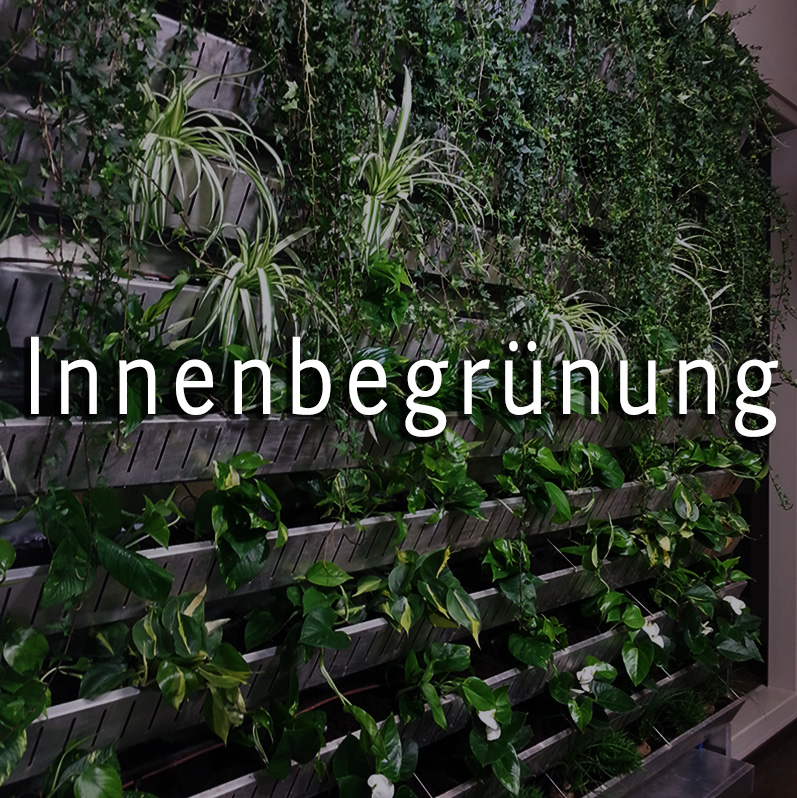 FAGUS | Think green for O2